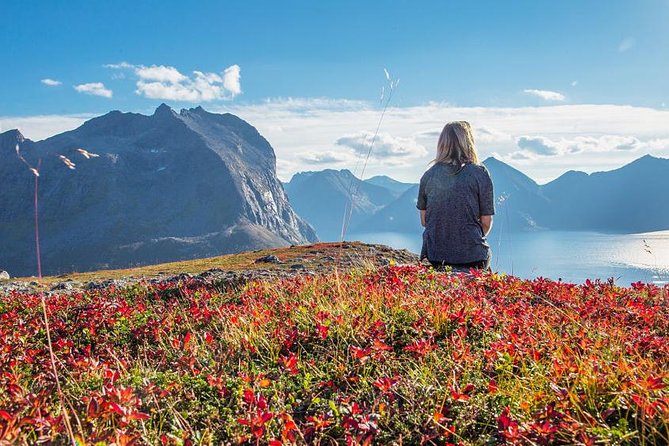 Fjord Expedition: Arctic Adventure Awaits - Price and Value: Is $145.76 Worth It?