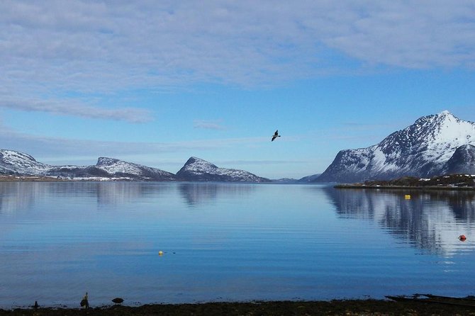 Fjord, Mountain and Wildlife Tour - Pickup, vehicle comfort, and the warm thermal suite advantage