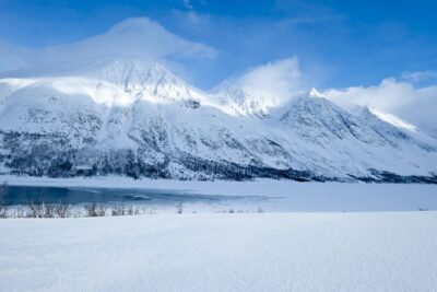 Fjord, Mountain and Wildlife Tour