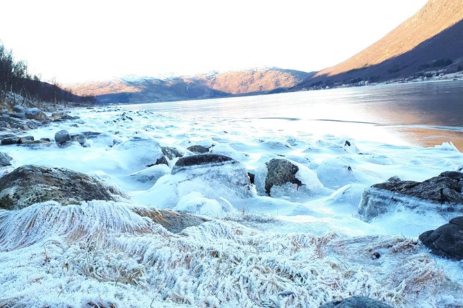 Fjord, Mountain and Wildlife Tour - Weather reality: clear views vs gray skies