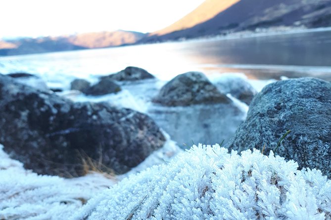 Fjord, Mountain and Wildlife Tour - Your guide matters, and small-group attention helps