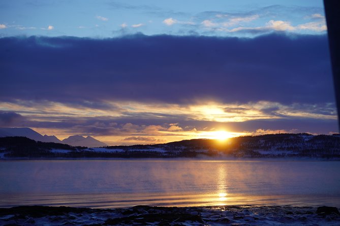 Fjord, Mountain and Wildlife Tour - What to pack: winter boots and traction