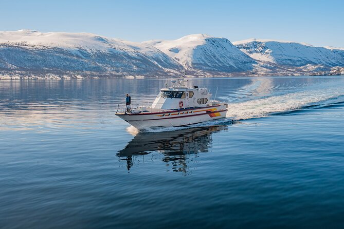 Fjord Safari in the Altafjord - What the Guide Does With Finnmark History and Geography