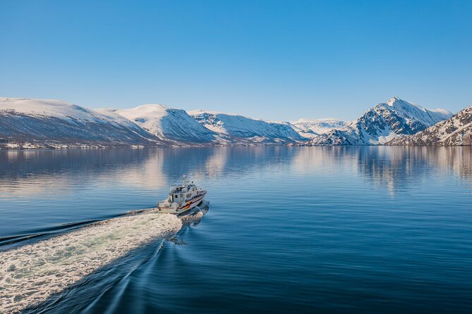 Fjord Safari in the Altafjord - Langfjord Entrance and Isnestoften Views: The Quiet Context Before the Water Time