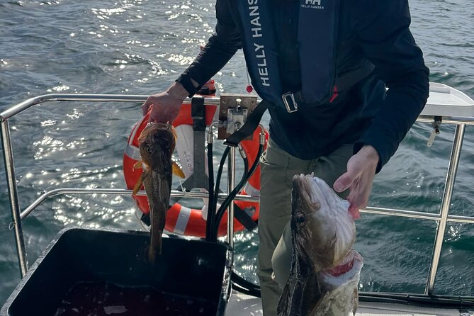 Fjord Sea Safari with Fishing from Bergen - The Fjord Ride, Views That Actually Pair With Fishing