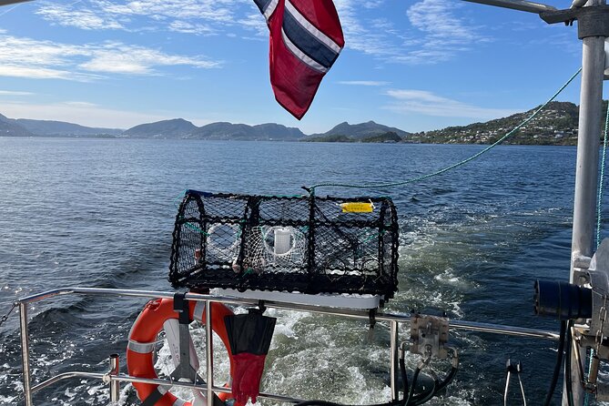 Fjord Sea Safari with Fishing from Bergen - Low Tide Dock Moment, What to Do So You Feel Confident
