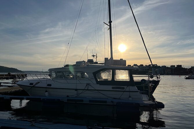 Fjord Sea Safari with Fishing from Bergen - Wildlife Spotting, How to Use Your Eyes During the Best Moments