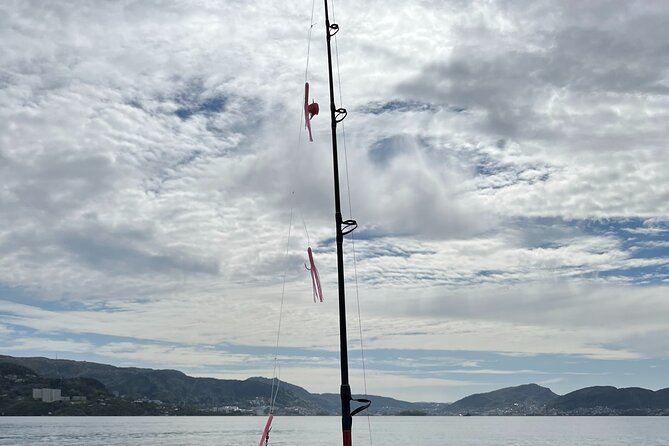 Fjord Sea Safari with Fishing from Bergen - Who This Fjord Sea Safari Suits Best