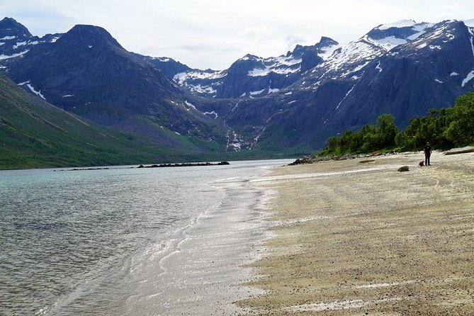 Fjord Sightseeing - Eco friendly Tesla Model X - Coffee, Tea, Cake, and Bottled Water: The Real Comfort Win