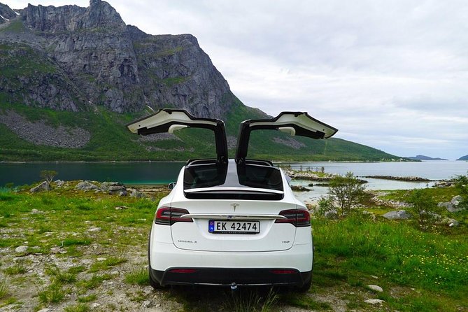 Fjord Sightseeing - Eco friendly Tesla Model X - Small Group Limits: Why Private-Style Matters Here
