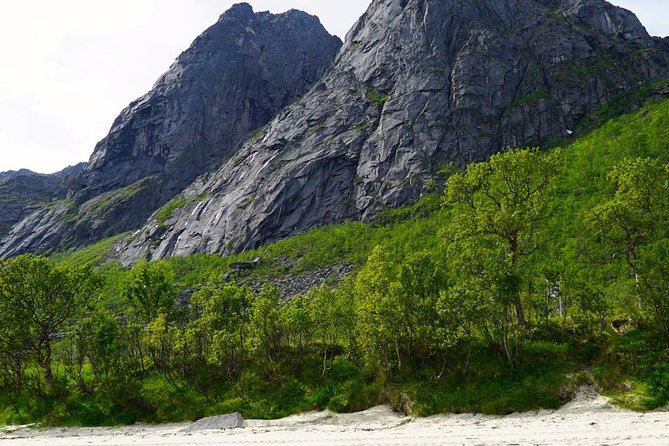 Fjord Sightseeing - Eco friendly Tesla Model X - Value Check: Is $171.16 Worth It?