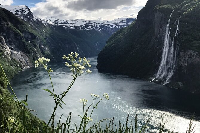 Fjordcruise Ålesund Geirangerfjord T/R - Comfort and practical extras: restrooms, cafeteria, and warm deck time