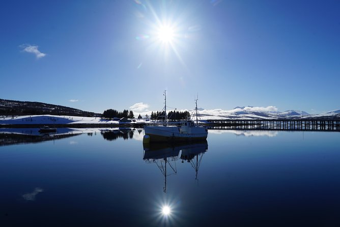 Fjordcruise in a Luxury Yacht Arctic Queen - From Tromsø toward the Tirpitz area, and why the tide schedule is part of the show
