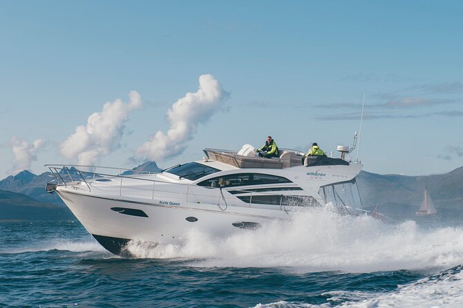 Fjordcruise - Luxury Yacht Arctic Queen - Luxury Yacht Arctic Queen: What Makes It Feel Special