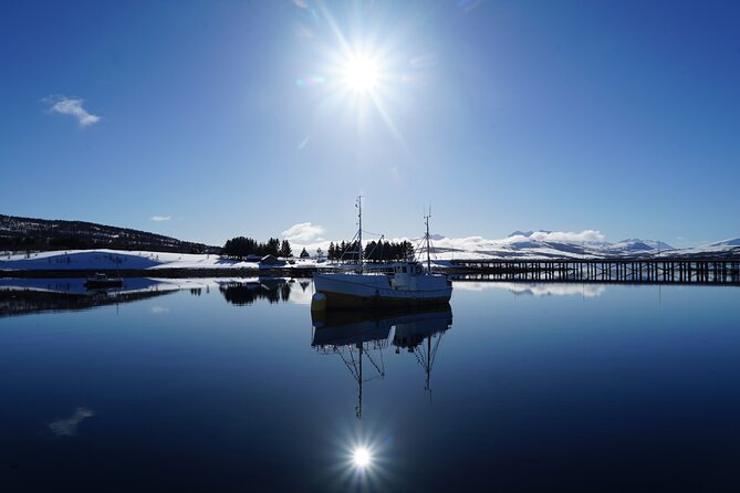 Fjordcruise - Luxury Yacht Arctic Queen - The Tirpitz WWII Stop: Perspective Without the Heavy Load