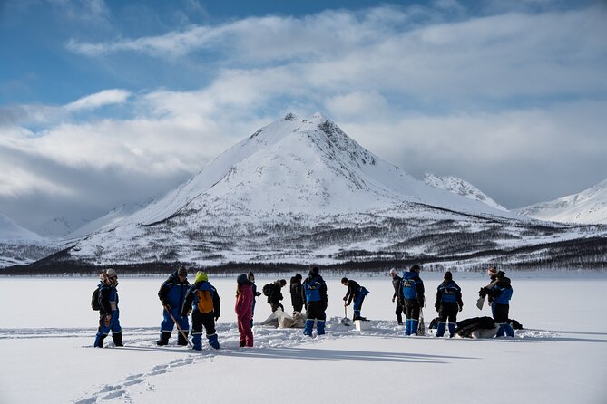 Fjords and Alps Snowshoe Tour in Lyngen Alps - Why this snowshoe tour feels like an Arctic day, not a checklist