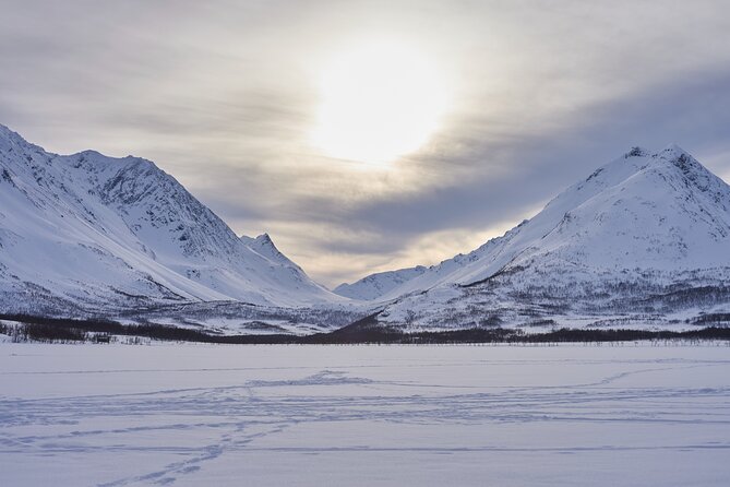Fjords and Alps Snowshoe Tour in Lyngen Alps - Wildlife chances: seeing animals or reading their signs