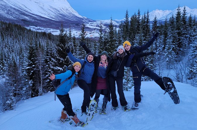 Fjords and Alps Snowshoe Tour in Lyngen Alps - Group size and guidance: why small matters in winter