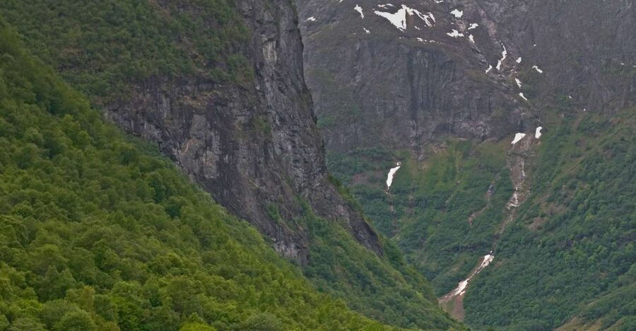 Fjords: Private Trip with Train and Cruise Ride - Key highlights