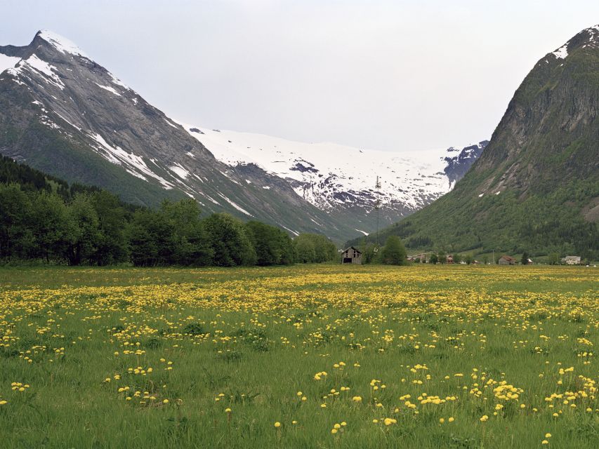 Fjords: Private Trip with Train and Cruise Ride - Hardangervidda and Geilo: a mountain stop that breaks the tempo