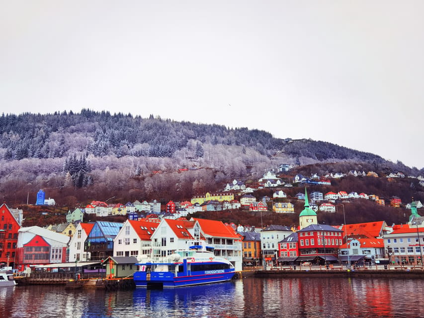 Flåm Flexible Tour with Stegastein, cruise and train include - Key highlights