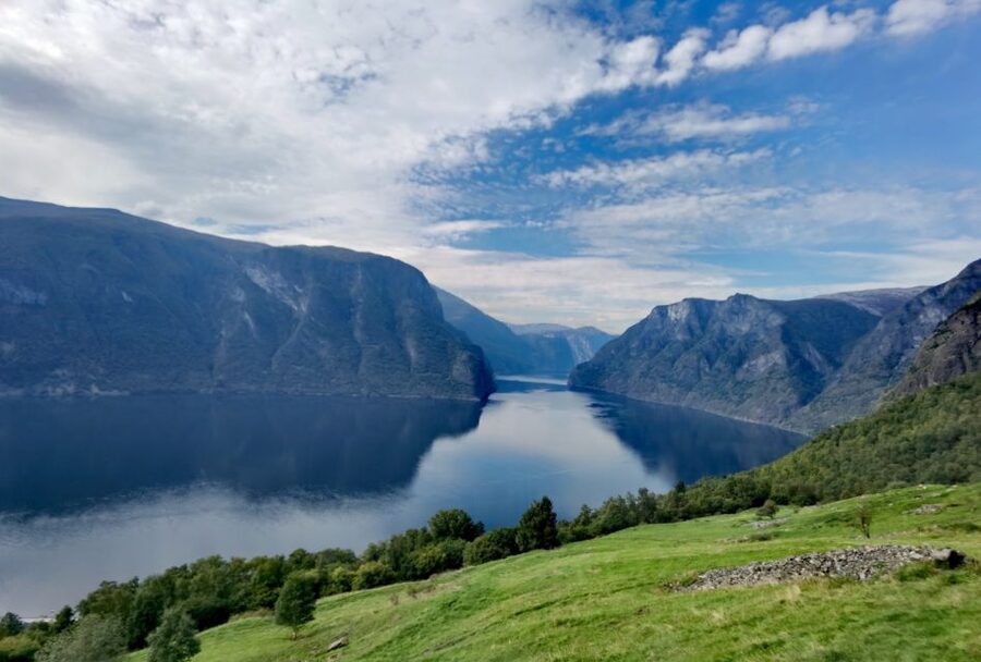 Flåm Flexible Tour with Stegastein, cruise and train include - The Nærøyfjord cruise, where timing actually matters