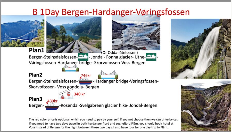 Flåm Flexible Tour with Stegastein, cruise and train include - Stegastein Viewpoint and the summer crowd reality