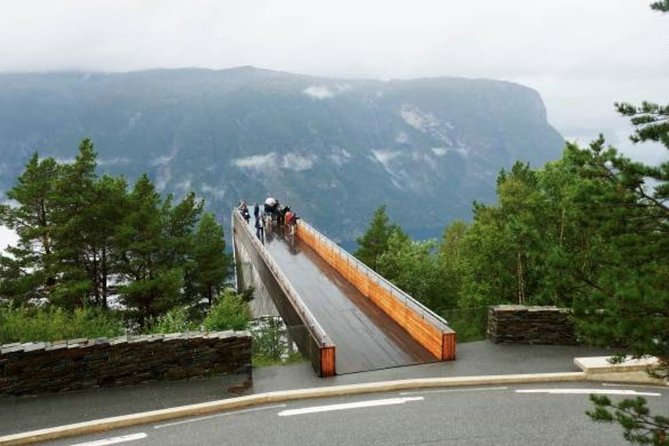 Flam: The Spectacular Stegastein Viewpoint Tour (Small Group) - The van ride up: what you can expect in 90 minutes