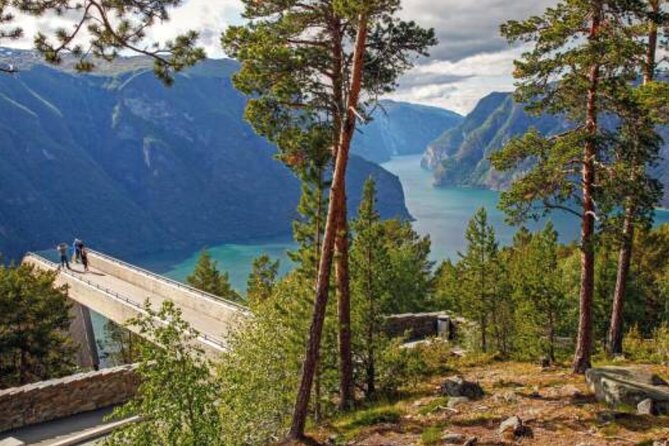 Flam: The Spectacular Stegastein Viewpoint Tour (Small Group) - Drivers, comfort, and group size: the part you feel immediately