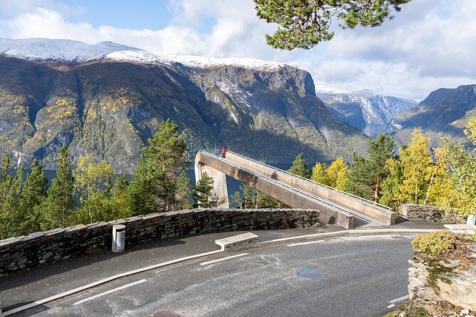 Flam: The Spectacular Stegastein Viewpoint Tour (Small Group) - Who should book this Stegastein tour