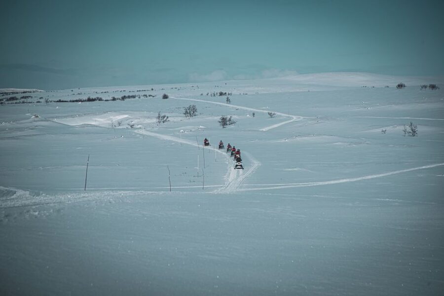 From Alta: Daytime Snowmobile Adventure - Key highlights to look forward to