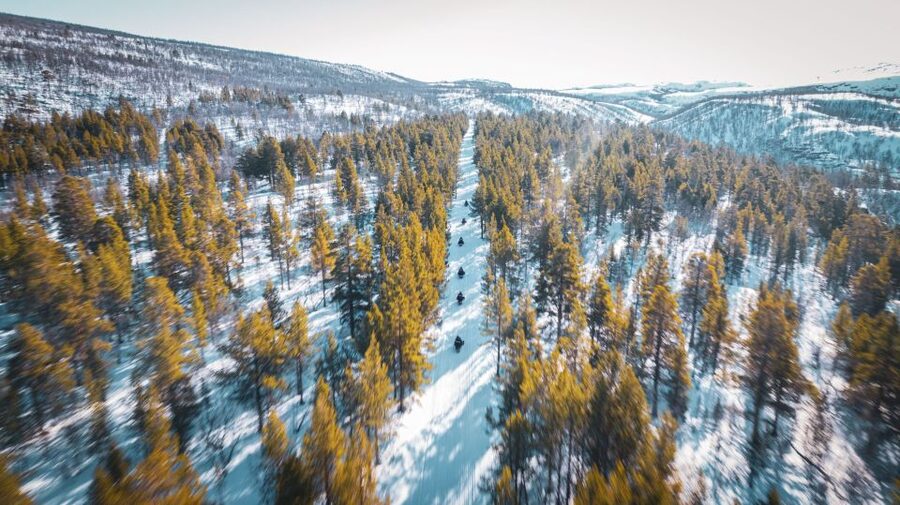 From Alta: Daytime Snowmobile Adventure - Should you book this snowmobile adventure from Alta?