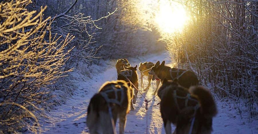 From Alta: Huskey Dog Sledding Tour - Meeting at Labyrinten 8 and getting properly kitted for winter