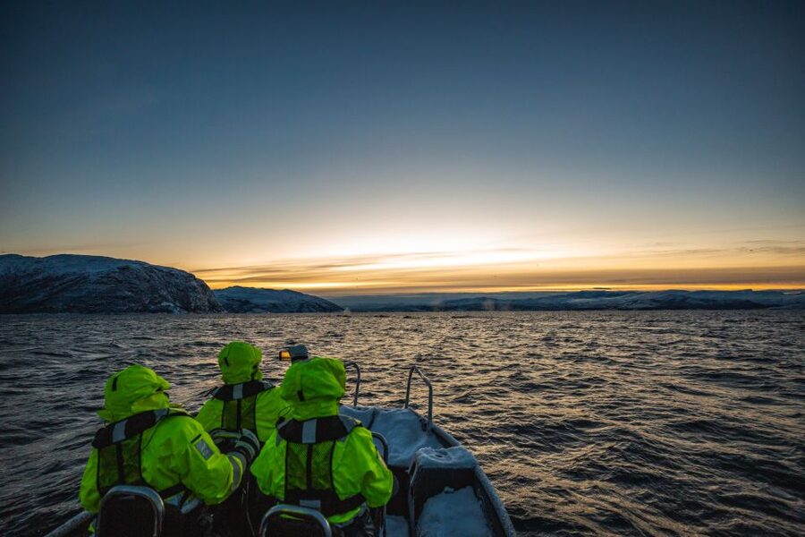 From Alta: Small Group Whale Watching by RIB - Key Points You’ll Care About