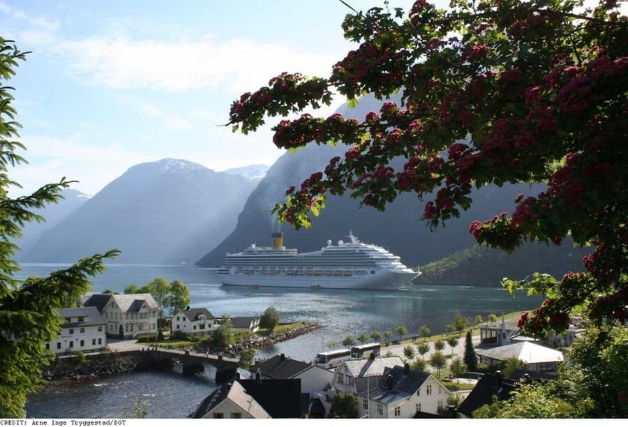 From Hellesylt: The Best of Geiranger Shore Excursion - Stryn Breaks Up the Long Road into Something More Human