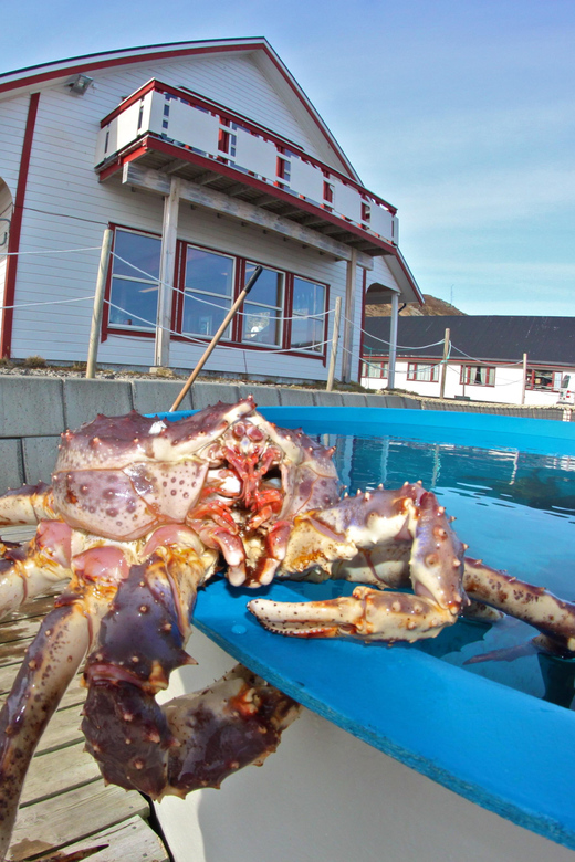 From Honningsvåg: VIP North Cape and Kingcrab Tour - Price and value: is $355 per person a smart deal?