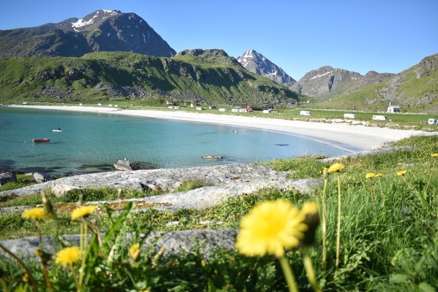 From Leknes City/Port: Private Lofoten Tour with Transfer - Who This Lofoten Day Suits Best