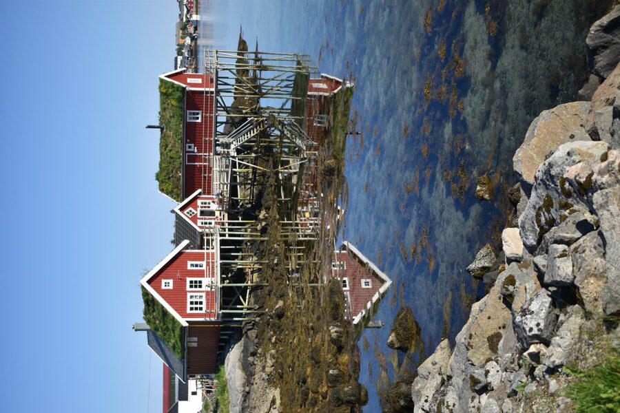 From Leknes City/Port: Private Lofoten Tour with Transfer - Private Tour Value: Pickup, Photo Stops, Snacks, and a Guide Who Can Adjust
