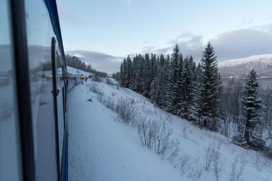 From Narvik: Roundtrip Arctic Train Ride on Ofoten Railway - Quick Reality Checks Before You Book