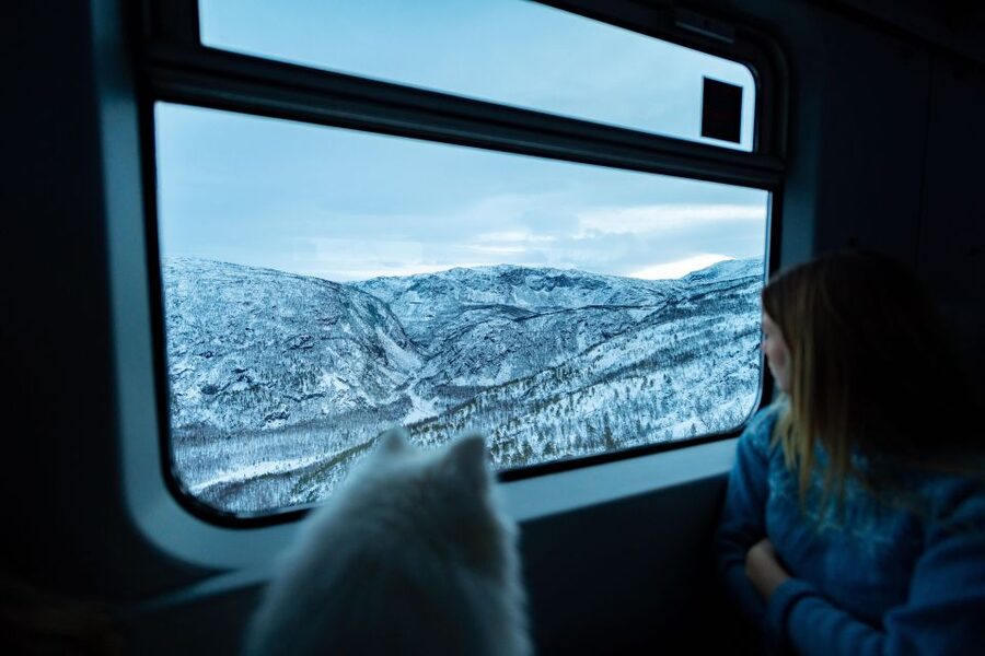 From Narvik: Roundtrip Arctic Train Ride on Ofoten Railway - Why the Ofoten Line Feels Made for the Arctic