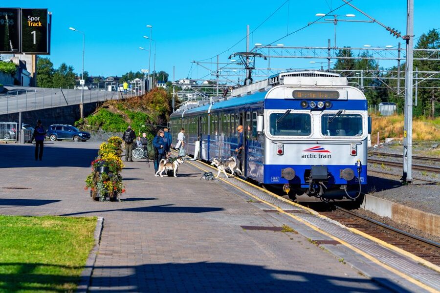 From Narvik: Roundtrip Arctic Train Ride on Ofoten Railway - Who This Trip Suits Best