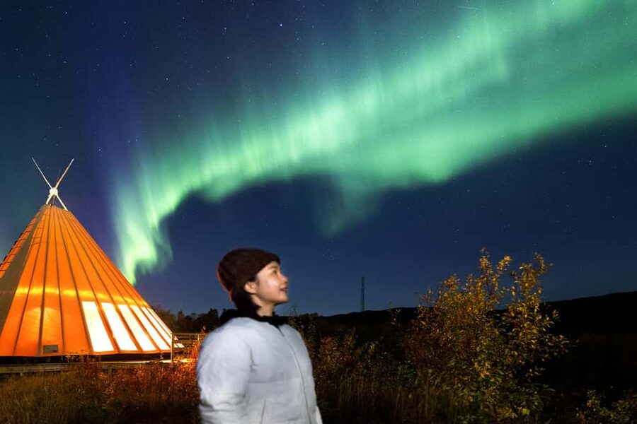 From Narvik: The Northern Lights Arctic Train Guided Tour - Onboard perks and the photo setup that helps