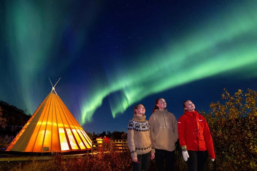 From Narvik: The Northern Lights Arctic Train Guided Tour - What to pack for a frozen campfire stop