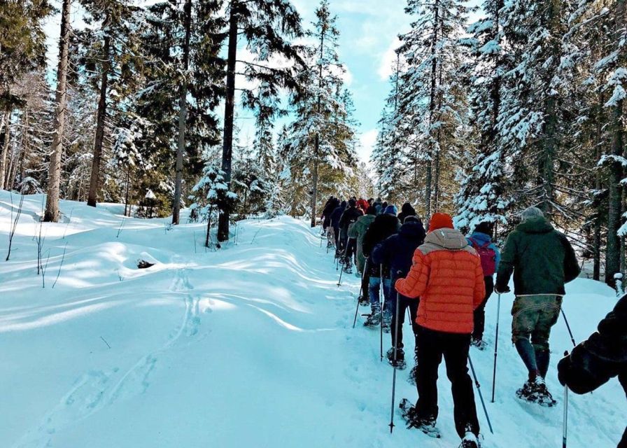 From Oslo: Oslomarka Forest Guided Snowshoeing Tour - The Oslomarka walk: pace, wildlife, and those serene break spots