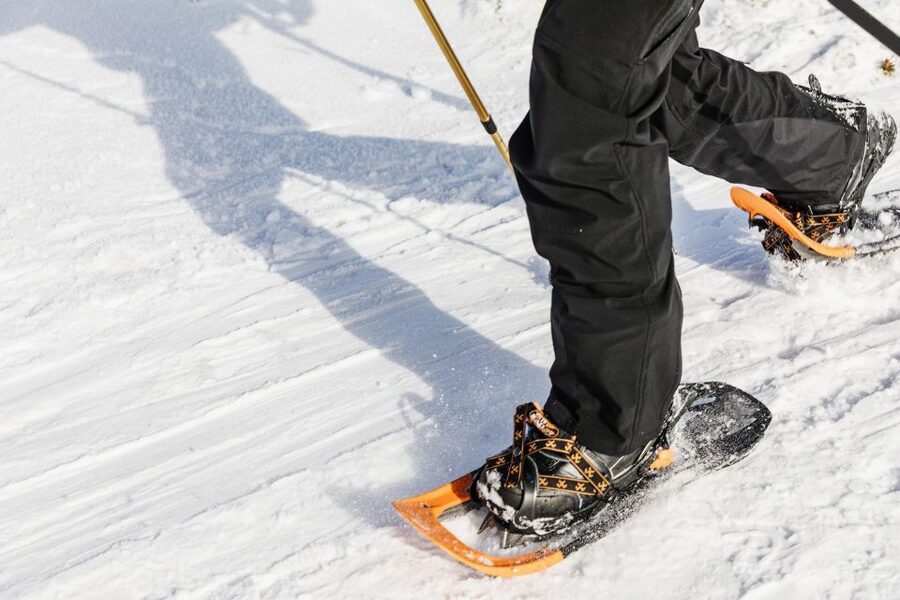 From Oslo: Oslomarka Forest Guided Snowshoeing Tour - Group size and the “cozy” feel, plus what to watch for
