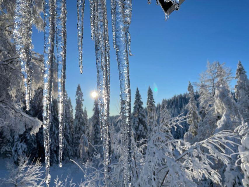 From Oslo: Oslomarka Forest Guided Snowshoeing Tour - What to wear: cold hands and waterproof lower legs matter