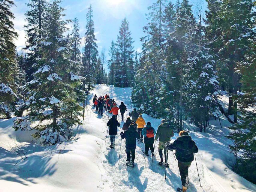From Oslo: Oslomarka Forest Guided Snowshoeing Tour - Duration and logistics: why 3.5 hours is a sweet spot