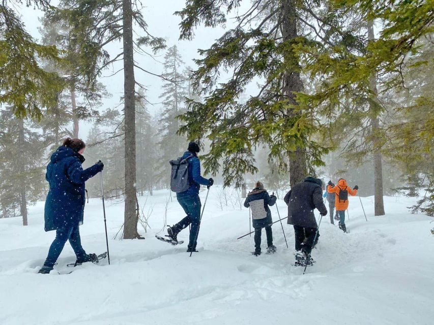 From Oslo: Oslomarka Forest Guided Snowshoeing Tour - Weather and snow conditions: when the plan shifts