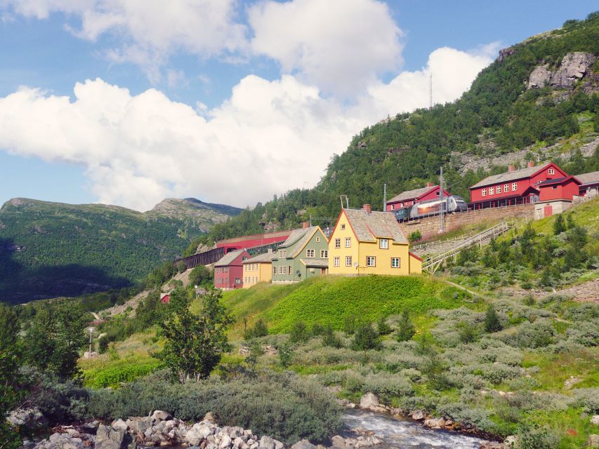 From Oslo: Private Round-Trip Tour to Sognefjord via Flåm - A very Norway day, built around train drama and fjord scale