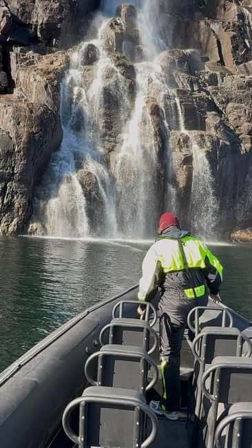 From Stavanger: Lysefjorden & Pulpit Rock Safari by RIB - Goat farm finale: why the land portion is a smart reset